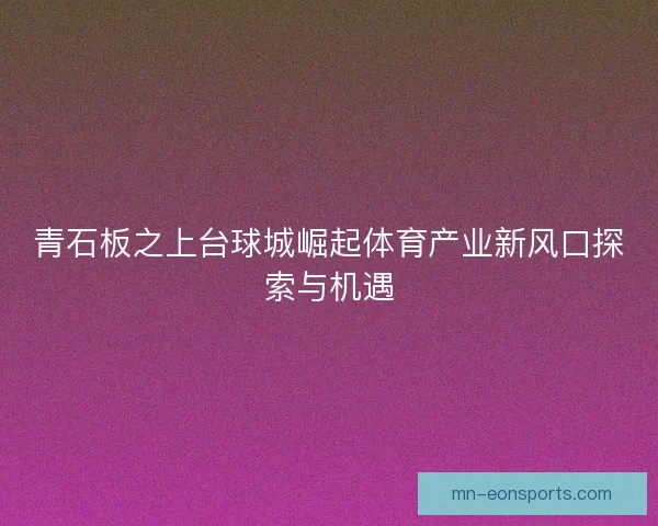 青石板之上台球城崛起体育产业新风口探索与机遇